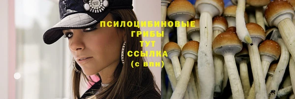 марихуана Новозыбков