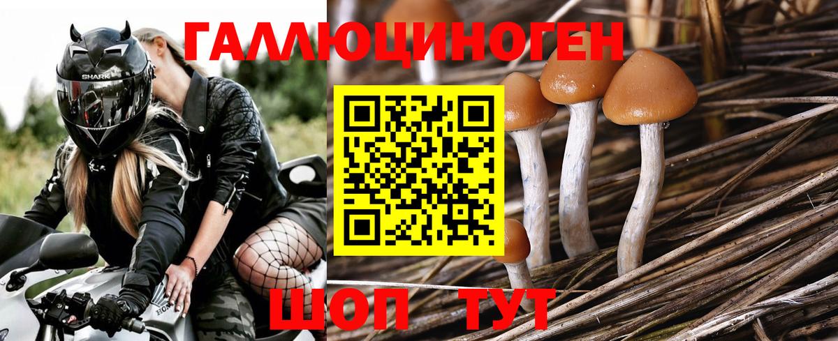 Псилоцибиновые грибы GOLDEN TEACHER Советский
