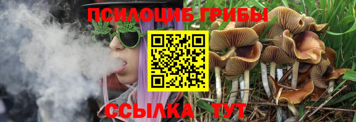 Псилоцибиновые грибы Psilocybine cubensis  Вход с VPN  Советский  Псилоцибиновые грибы GOLDEN TEACHER 